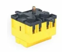 Interrupteur sectionneur SE630004R