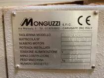 Massicot à placage automatique Monguzzi
